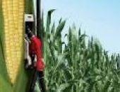 September gloom for US ethanol