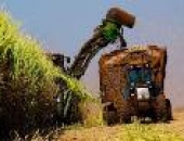BRAZIL: IMPORT TARIFF OF ETHANOL LIFT TO 11.75%