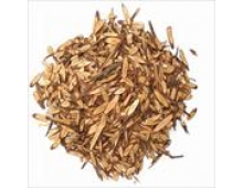 BRANCH CUT CASSIA