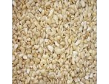 CASHEW NUTS SP