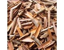 BROKEN CASSIA