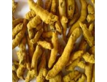 TURMERIC FINGER
