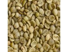 WASHED ARABICA GREEN COFFEE BEANS GRADE 2 SCREEN 13