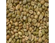 UNWASHED ROBUSTA GREEN COFFEE BEANS GRADE 1 SCREEN 16