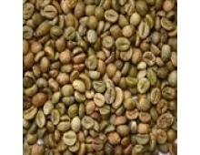 WET POLISHED ROBUSTA GREEN COFFEE BEANS GRADE 1 SCREEN 18