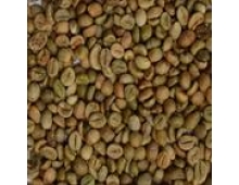 UNWASHED ROBUSTA GREEN COFFEE BEANS GRADE 2 SCREEN 13